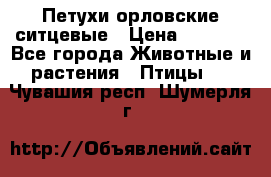 Петухи орловские ситцевые › Цена ­ 1 000 - Все города Животные и растения » Птицы   . Чувашия респ.,Шумерля г.